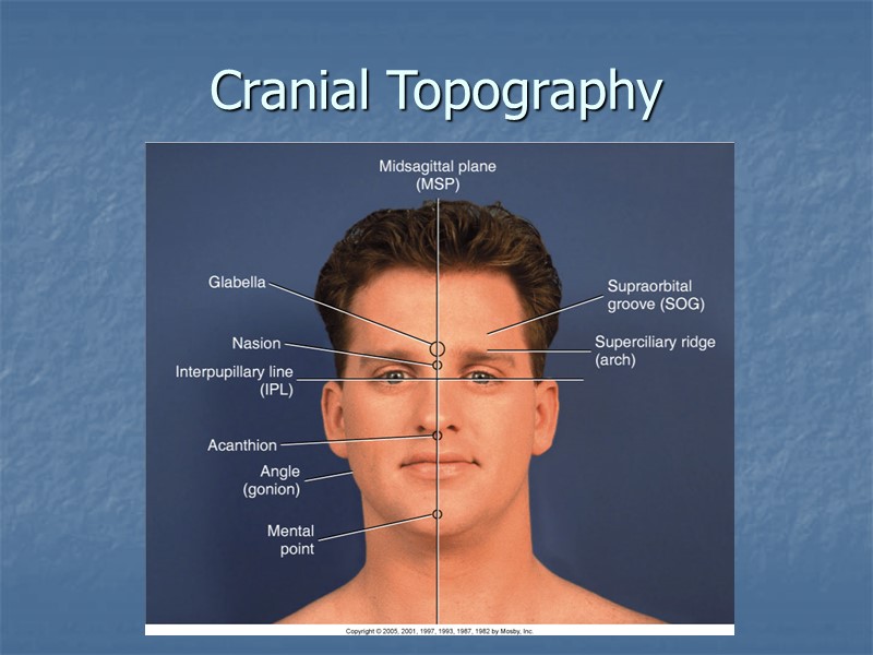 Cranial Topography